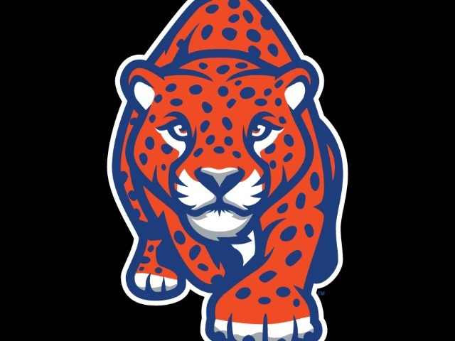 2024-2025 Madison Central Dance Team