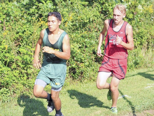 Wilkes runners show potential in MVAC opener