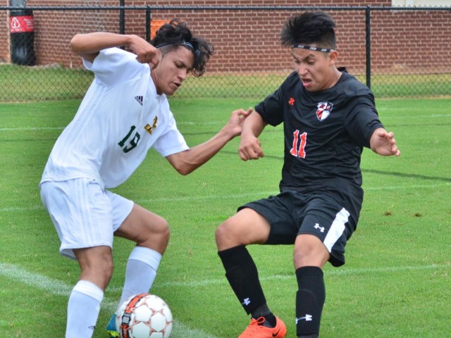 Eagles shine in win over West
