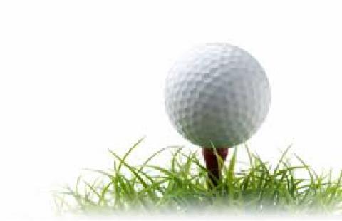 Arlington Invite Golf RESULTS