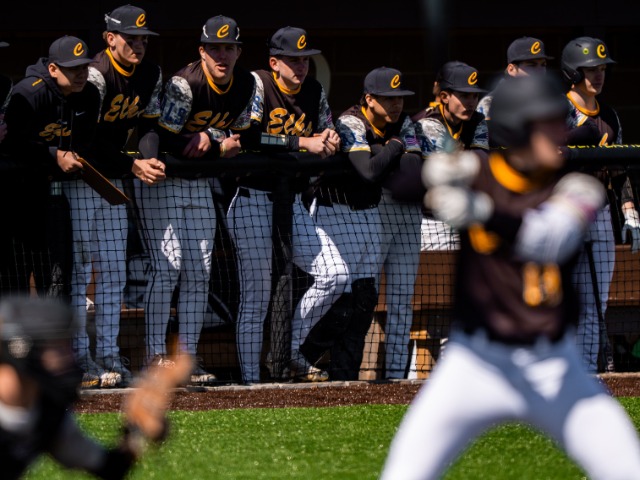 Image for Elks Athletics Weekly Elks Athletics Weekly image