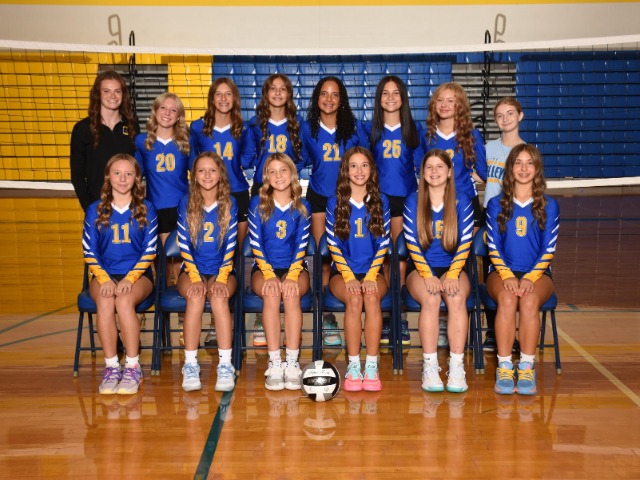 Lady Fliers fall to Perkins