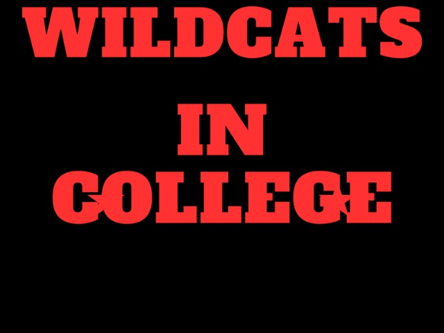 Winter College Athletes