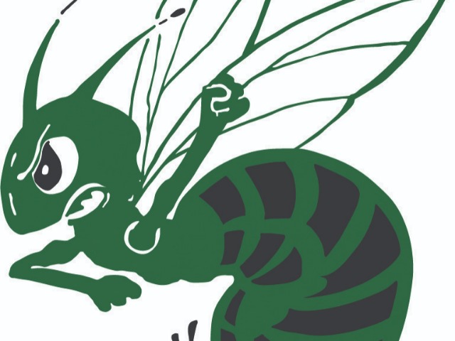 photo #1 published on 11/25/2025