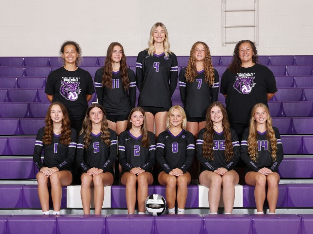 Girls Volleyball OHSAA Tournament