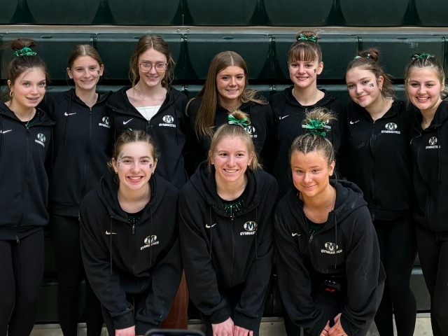 Oehlers and Hofmann finish in Top 15 at OHSAA District Diving Meet