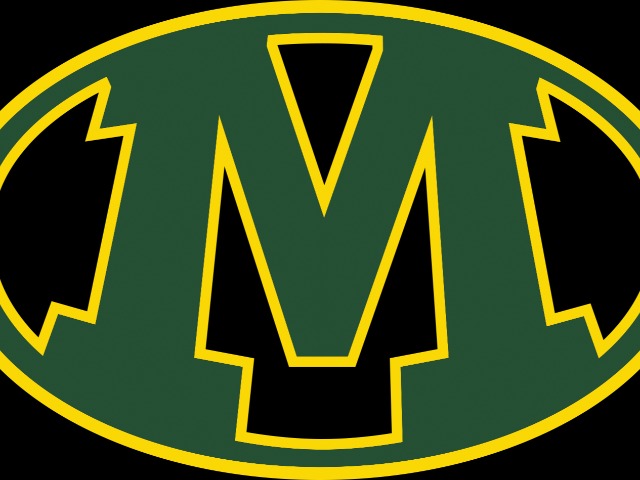 Oehlers and Hofmann finish in Top 15 at OHSAA District Diving Meet