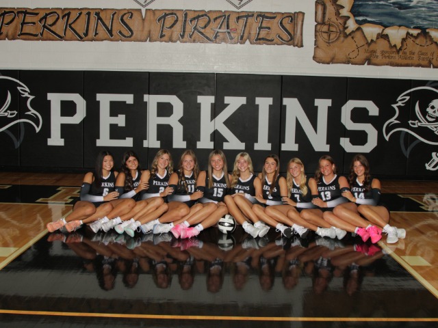 Varsity Volleyball Sweeps Vermilion