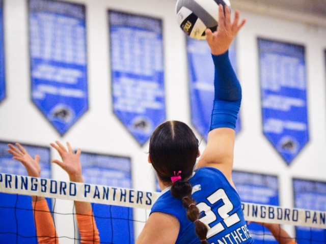 Springboro Panthers Sweep Mercy Macauley in Straight Sets
