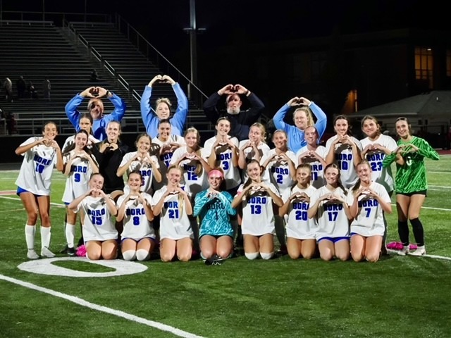 Lady Panthers win 8-0 against Wayne 