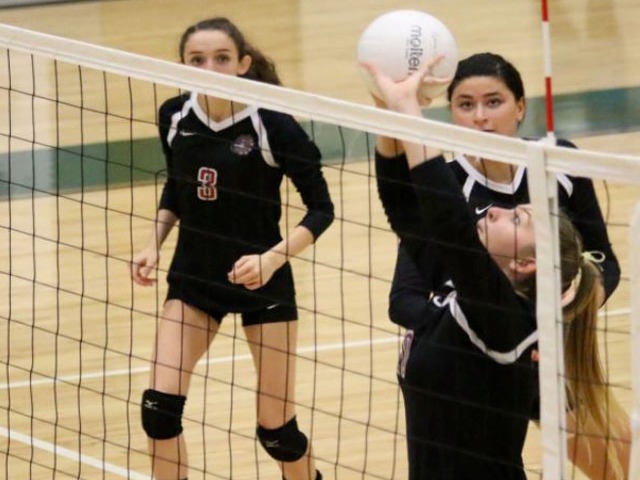 Volleyball season ends for Lady Bulldogs with Regional semi-final loss