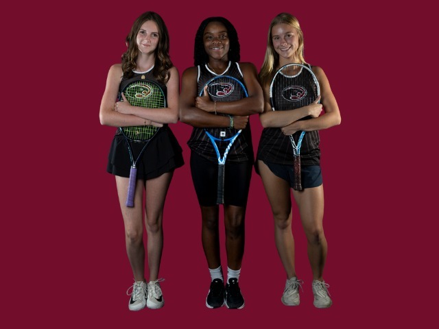 JOIN IN THE CELEBRATION AS CFHS LADY PANTHERS GO TO  PLAYOFFS!!