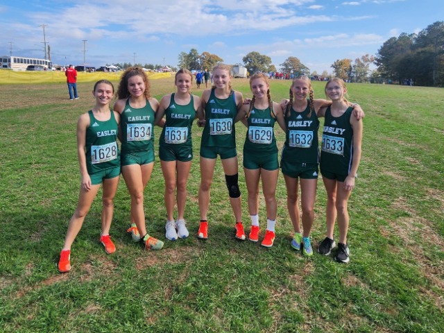 photo #2 published on 11/10/2025