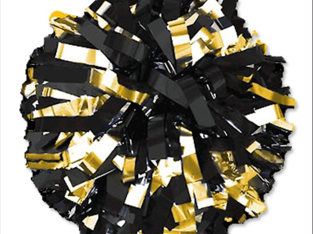 Socastee Cheer Teams Compete at Region VI Competition