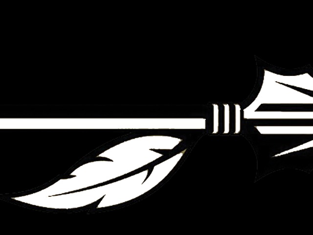 Varsity Wrestling Punches Ticket to Playoffs