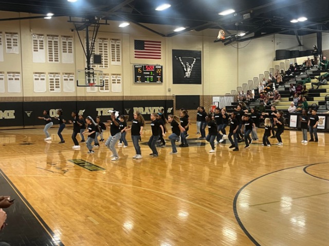 Socastee Elementary Steppers Rocked Coach D Court!