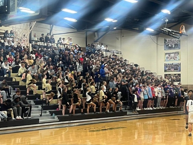 photo #1 published on 1/24/2026