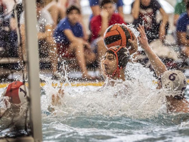 AHS Water Polo Teams to compete at regionals