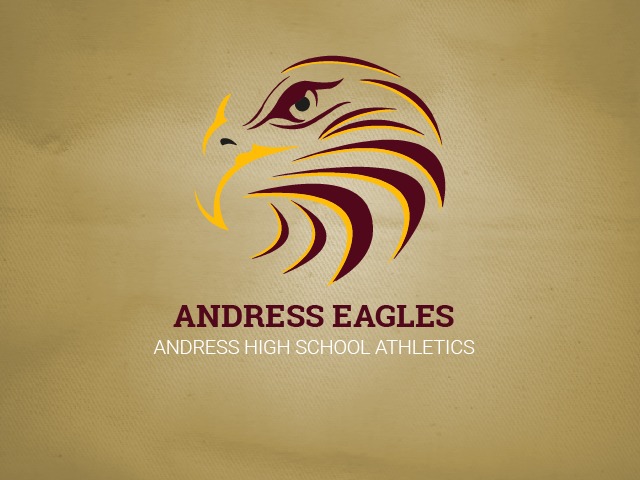 Andress sweeps Chapin in basketball rivalry battle