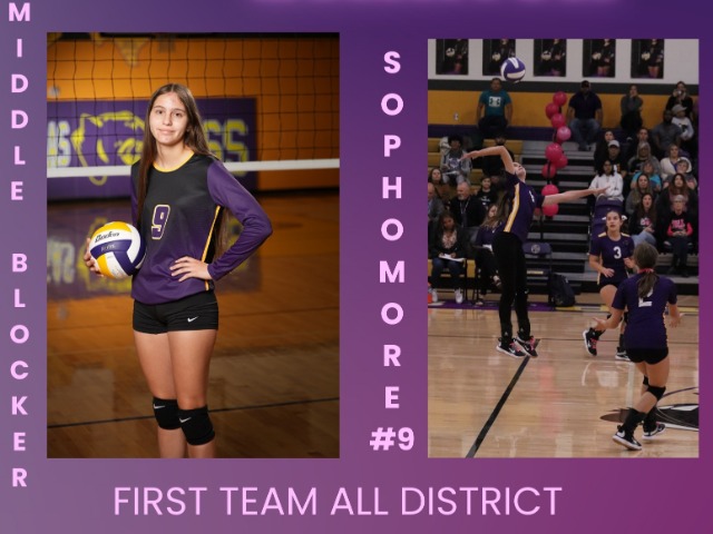 Volleyball All-District Team