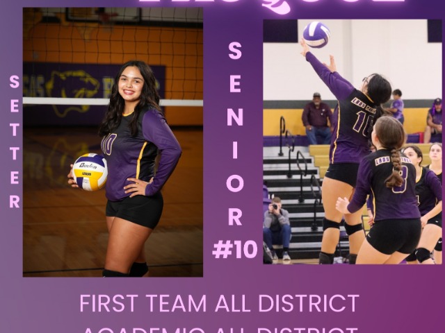 Volleyball All-District Team