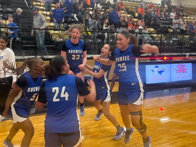Lady Pioneers secure Area Championship 