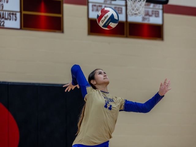 Chisholm continues hot streak against Saginaw