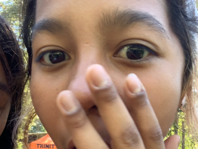 Look What JV Did! - Analia Hernandez