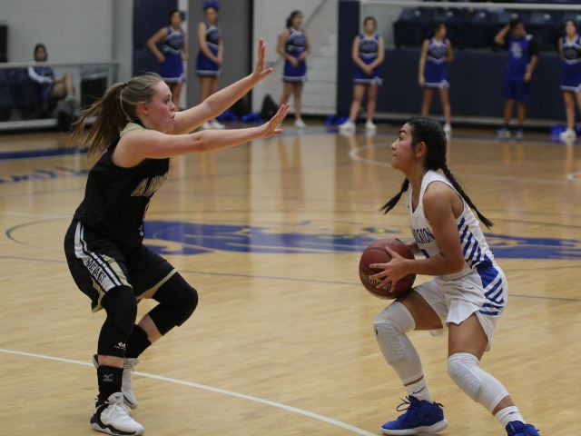 Andrews 41, Prowlers 33