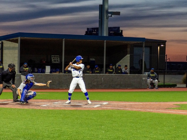 Panthers Aces: Flourishing on the Mound  