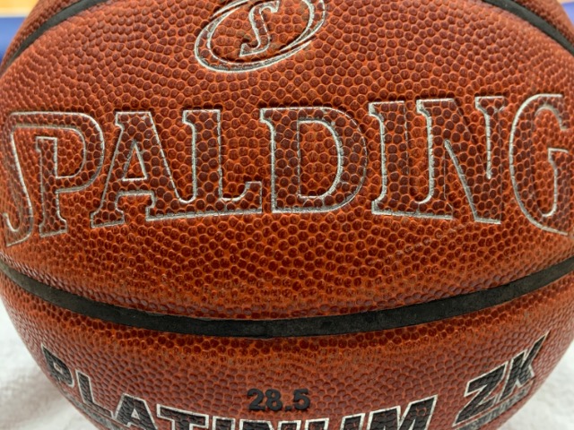 Freshman Prowler team drops game to Sanderson 
