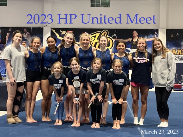 Image for Gymnasts unite for friendly meet