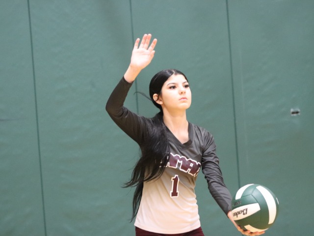 Lady Bearcats 8A Fall to SC Lee in Thursday Evening Volleyball Match