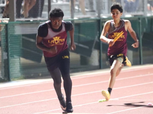 Tough Road in Cove: Lady Bearcats 7B Fall to SC Lee