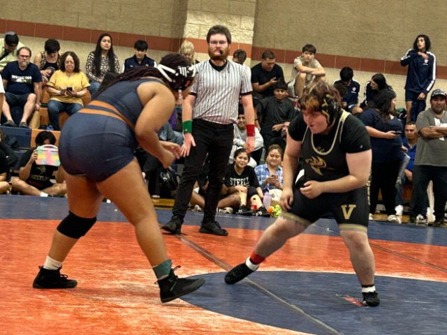 photo # 0 published on 11/17/2025