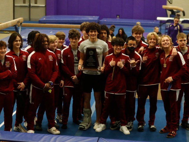 Saginaw gymnastics are District Champions and District Runner-Ups