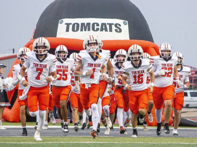 Lady Cats Victorious in Bi-District Matchup