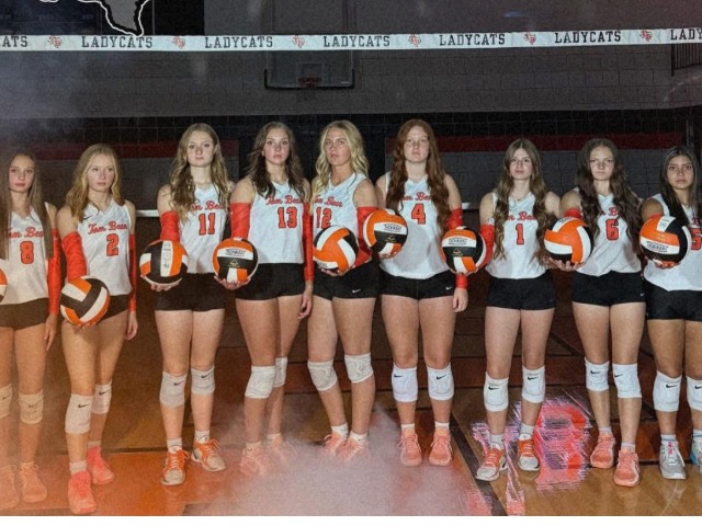 Volleyball falls to Howe