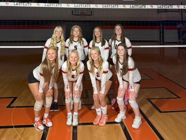 Volleyball Hosts Collinsville in District Opener