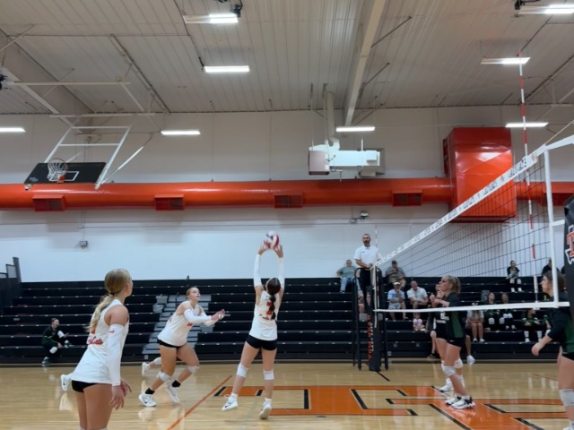 Volleyball Sweeps Boles