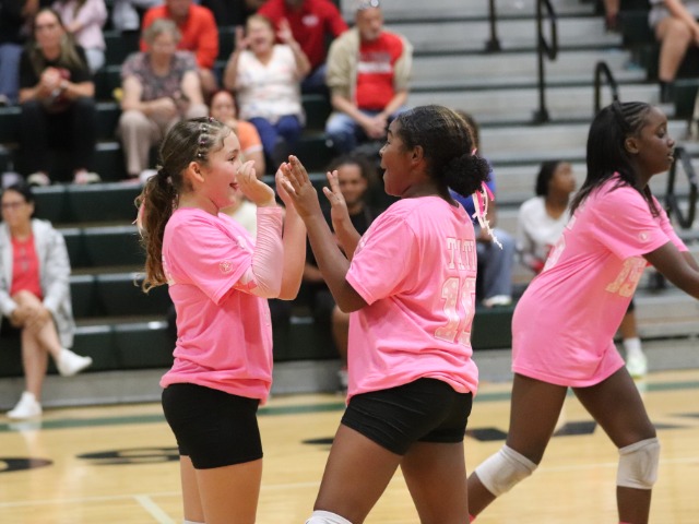 Lady Mustangs 7A Fall Short in Hard-Fought Three-Set Regular Season Finale Against Lamar