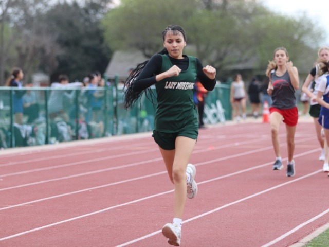 photo #3 published on 3/26/2026