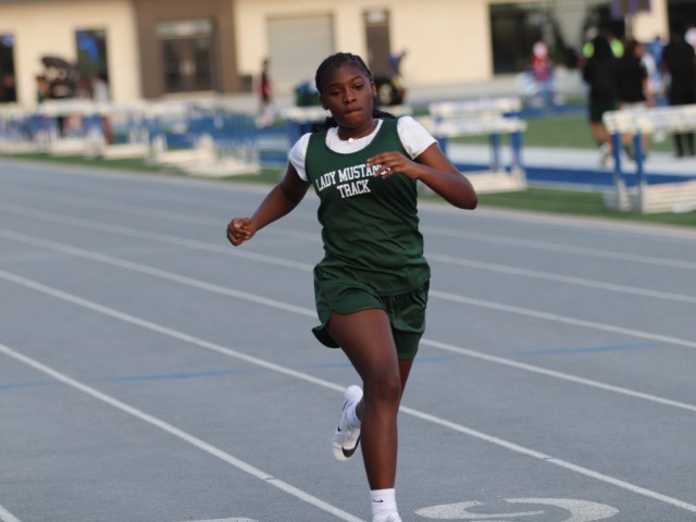 photo #2 published on 4/4/2026