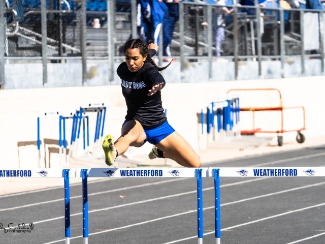Lady Roo Track Results