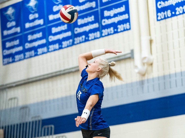 Lady Roos Sweep Paschal