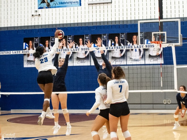 Volleyball Season Preview