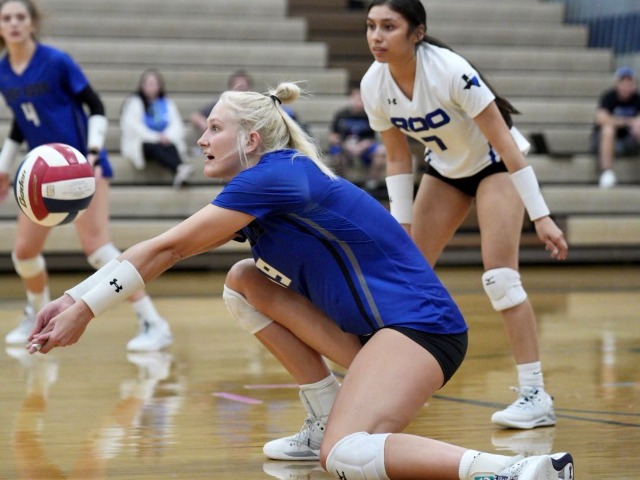Lady Roos Sweep Paschal