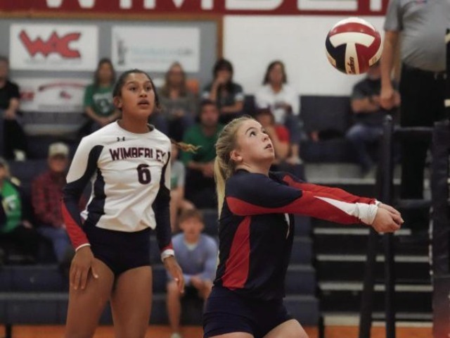 Texan Volleyball takes second in district