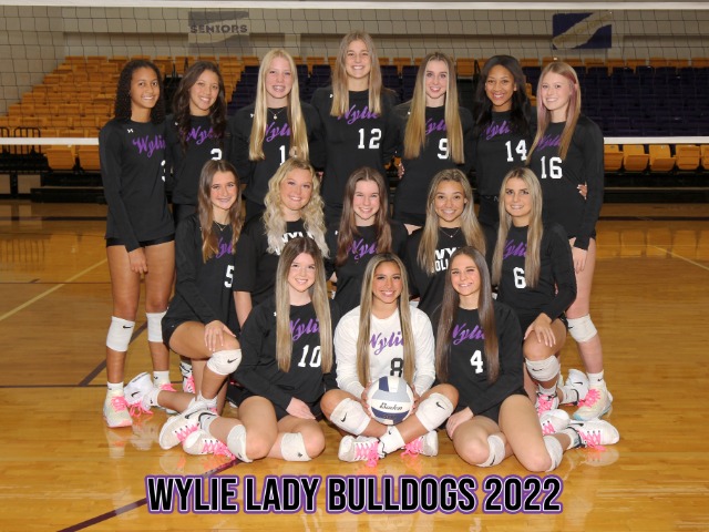 Wylie Volleyball Players Earn All-District Recognition