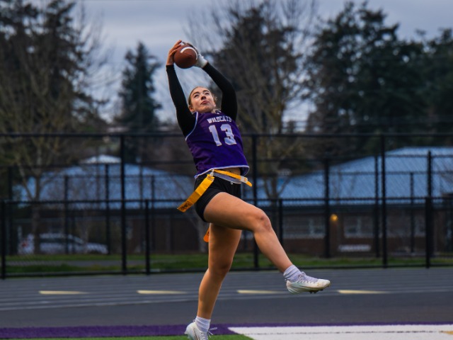 OHHS Wildcats Advance to State After Thrilling District Playoff Run 